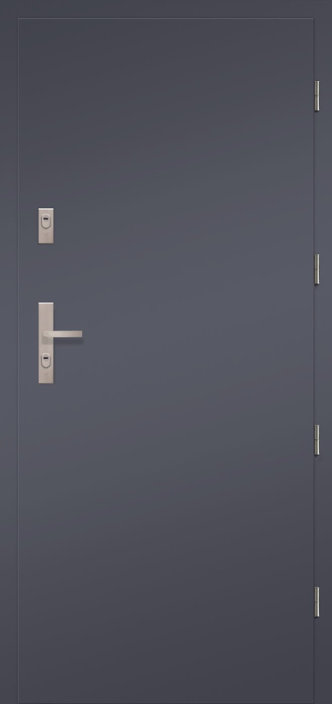 POL-SKONE ARGALI Ārdurvis | Koka