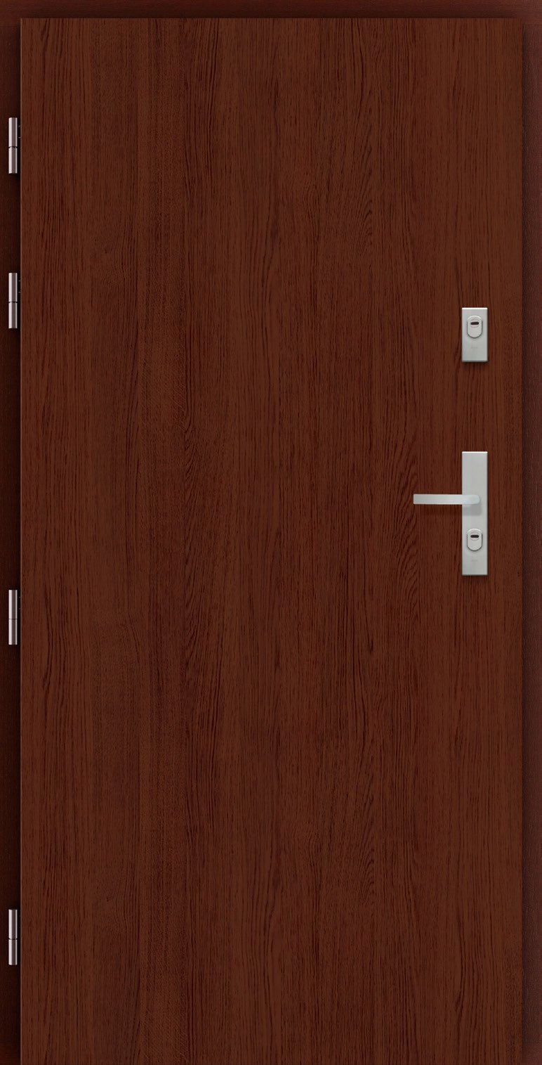 POL-SKONE SATURN Ārdurvis | Koka